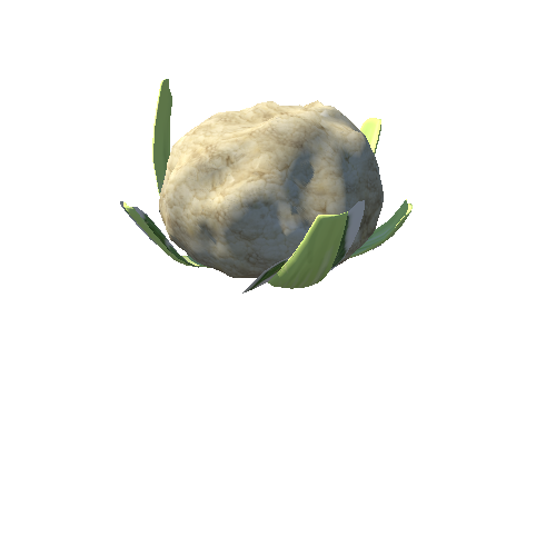 Cauliflower (Coliflor)